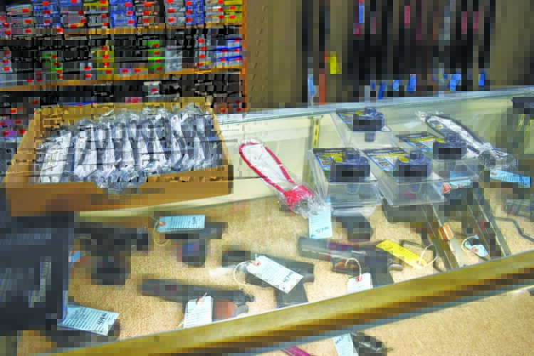 Michigan gun laws in effect as of Tuesday News, Sports, Jobs The